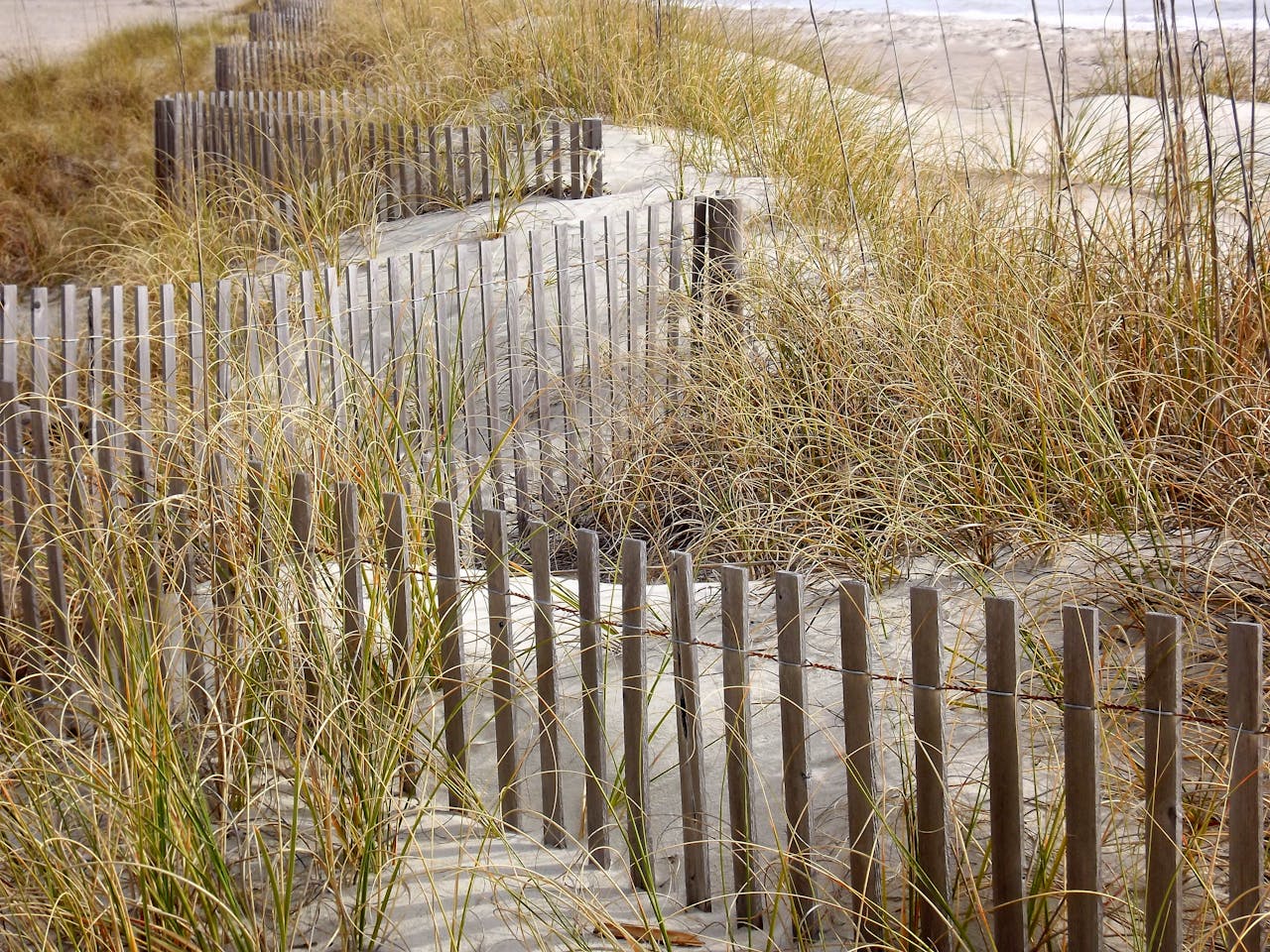 A tranquil beach scene featuring sand dunes, wooden fence, and coastal grass.