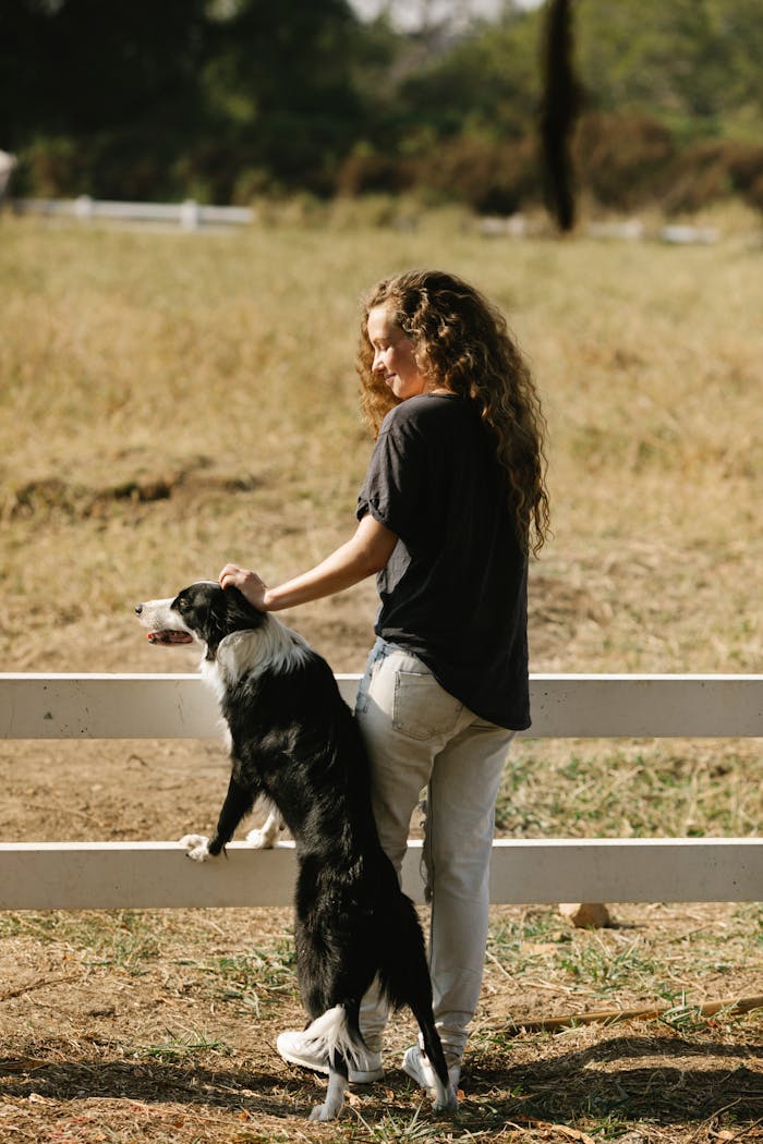 A woman and her Border Collie enjoying a sunny day on the farm, bonding over the fence.